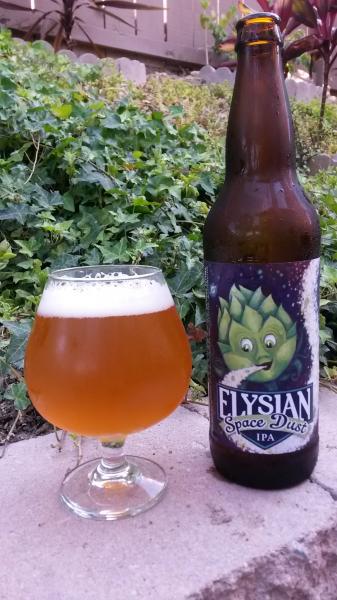 Space Dust IPA from Elysian Brewing Company — photo 1 of 1
