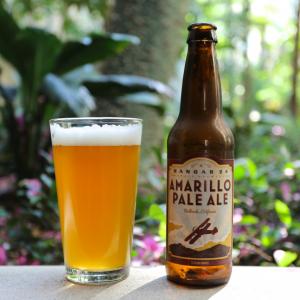 Hangar 24 Amarillo Pale Ale