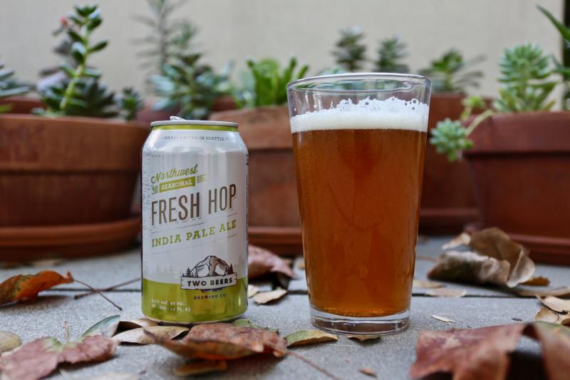 Two Beers Fresh Hop 2016 from Two Beers Brewing Co. — photo 1 of 1