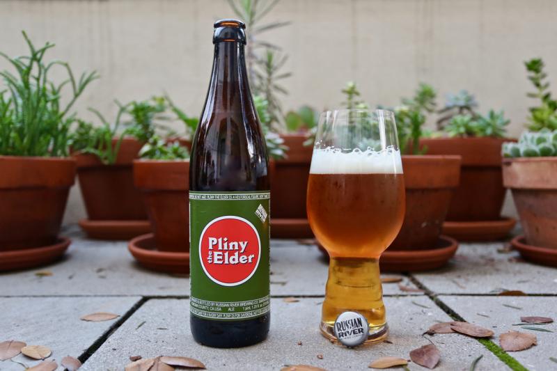 Pliny The Elder from Russian River Brewing Company — photo 1 of 5