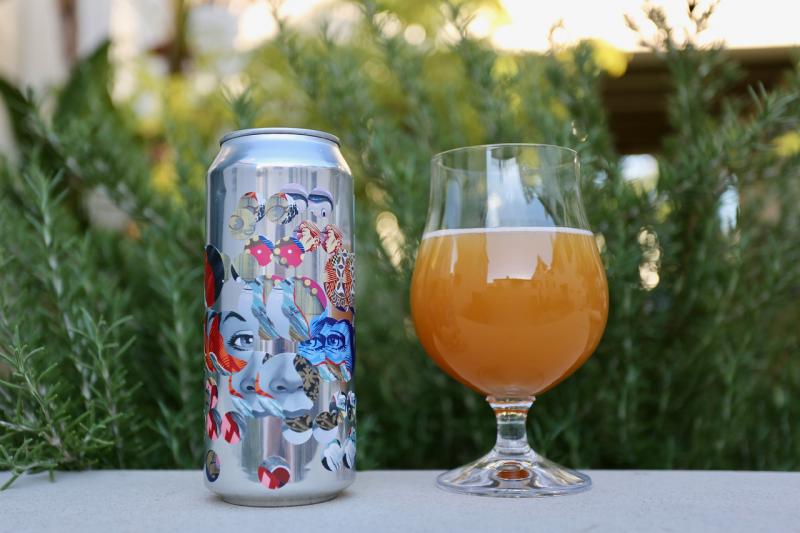 Falling Water IPA from Brouwerij West — photo 1 of 1