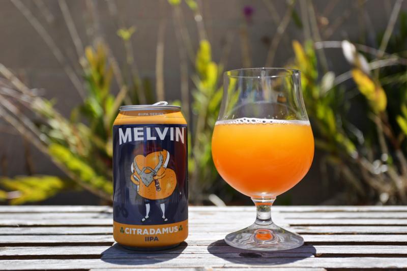 Citradamus from Melvin Brewing — photo 1 of 2
