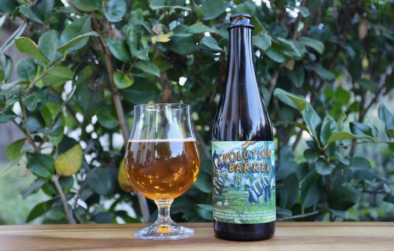 Tahoe Mountain Brewing Company