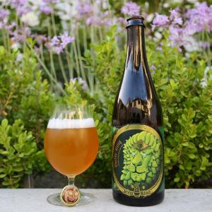 Noble King Hoppy Farmhouse Ale
