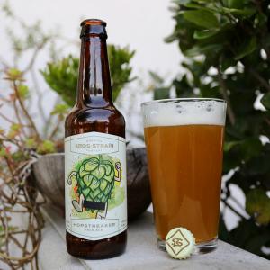 Hop Streaker