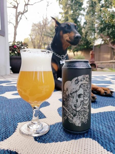 Wolf Child Double IPA from Anchorage Brewing Company — photo 1 of 3