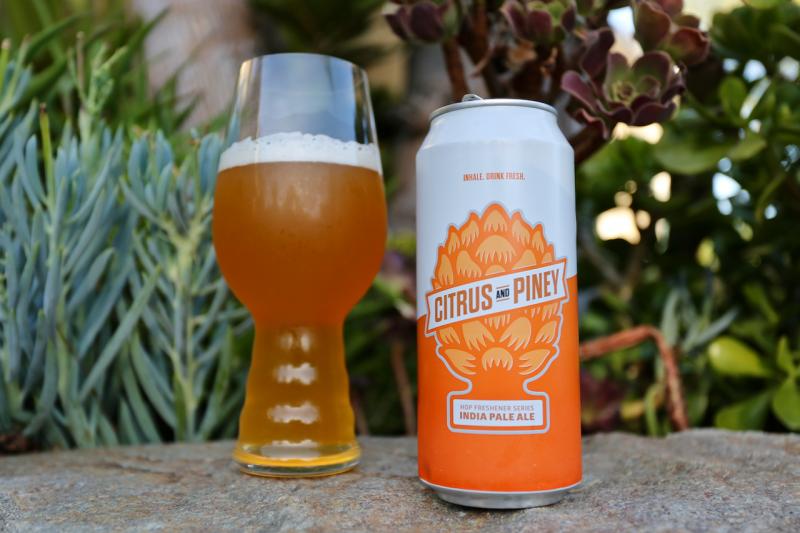 The Hop Concept photos — photo 1 of 1