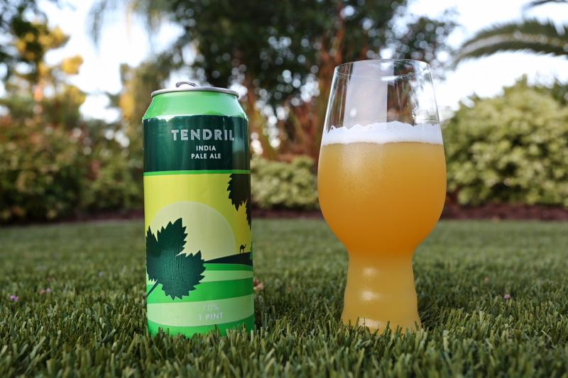 Tendril from Proclamation Ale Company — photo 1 of 1