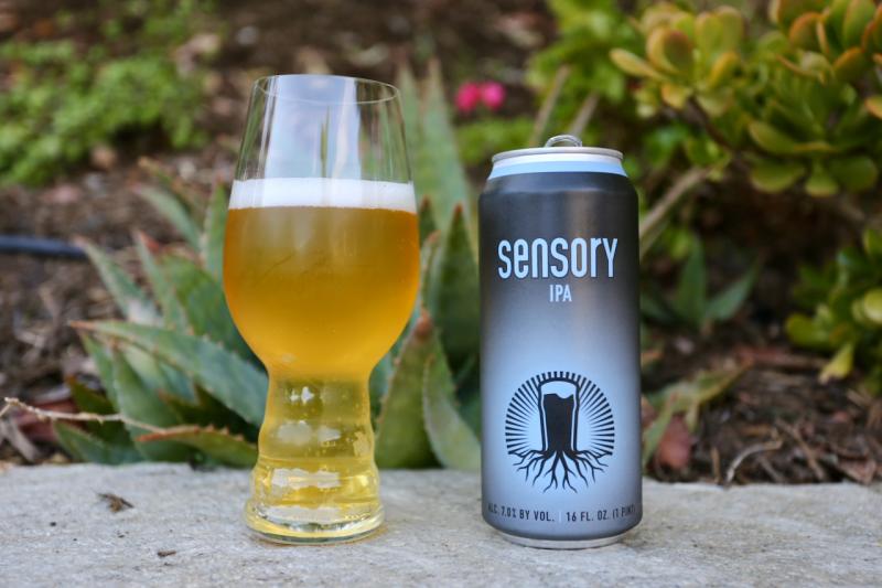 Sensory IPA from Burgeon Beer Company — photo 1 of 1