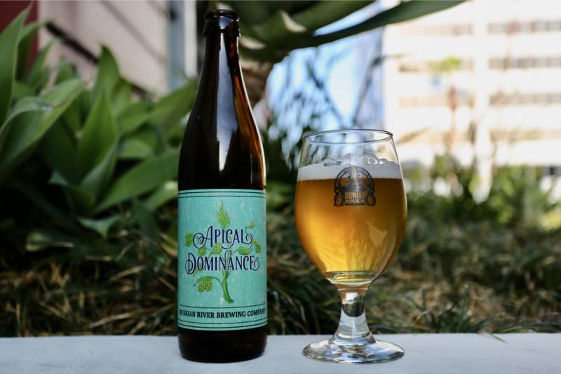 Apical Dominance from Russian River Brewing Company — photo 1 of 1