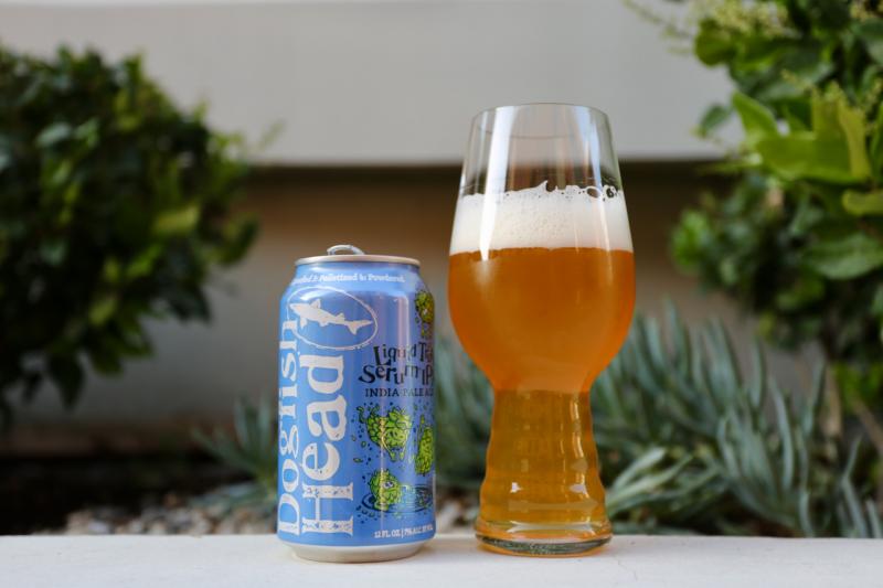 Liquid Truth Serum from Dogfish Head Brewery — photo 1 of 1
