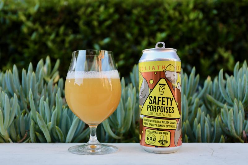 Safety Porpoises from Toppling Goliath Brewing Company — photo 1 of 1