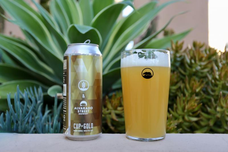 Cup of Gold from Pure Project — photo 1 of 1