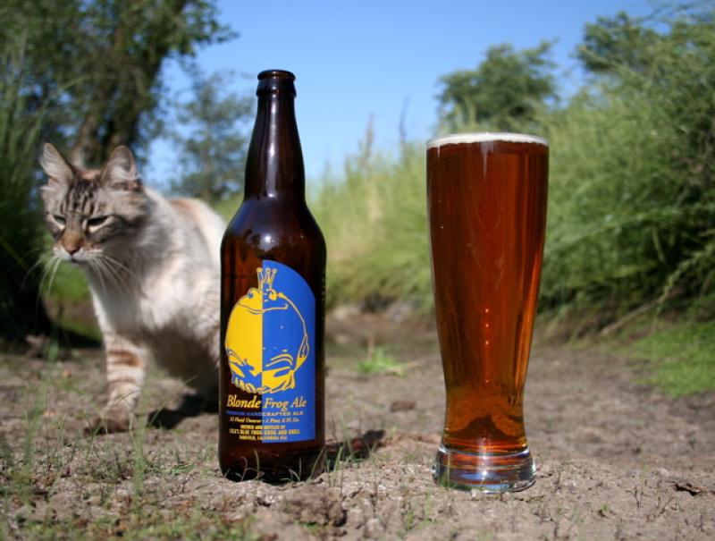 Blonde Frog Ale from Cica's Blue Frog Grog & Grill — photo 1 of 3