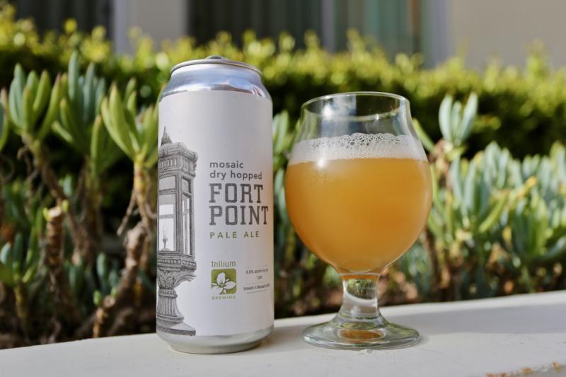 Fort Point (Mosaic Dry Hopped)