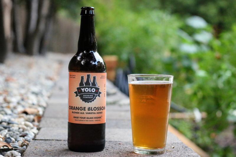 Orange Blossom Blonde Ale