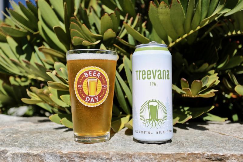 Treevana IPA